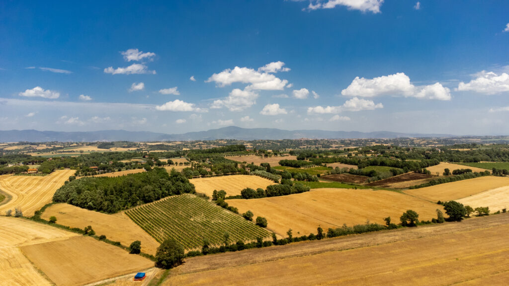 panorama campagna toscana